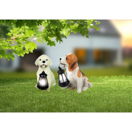 Globo - Lampada solare LED LED/0,06W/3V cane IP44 600 mAh