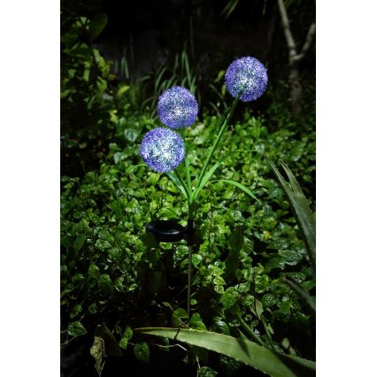 Globo - Lampada LED solare 3xLED/0,06W/3V 5000K IP44 viola