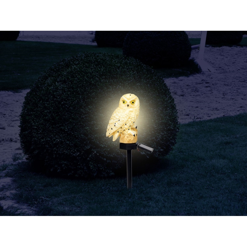 Globo - Lampada solare LED LED/0,06W/3V IP44 gufo