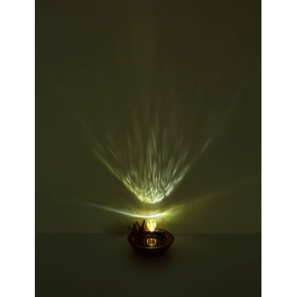 Globo - Lampada solare LED LED/0,06W/3V IP44 vaschetta per uccellini