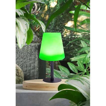 Globo - Lampada da tavolo LED RGB Solar touch LED/0,1W/3V IP44