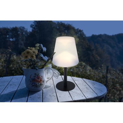 Globo - Lampada da tavolo LED RGB Solar touch LED/0,1W/3V IP44