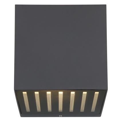 Globo - Applique da esterno LED/6W/230V IP54 antracite
