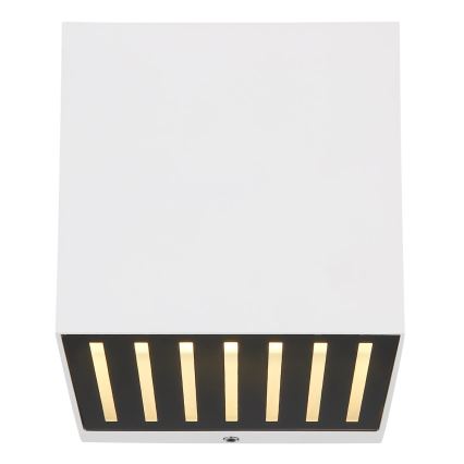 Globo - Lampada da parete per esterni LED/6W/230V IP54 bianca
