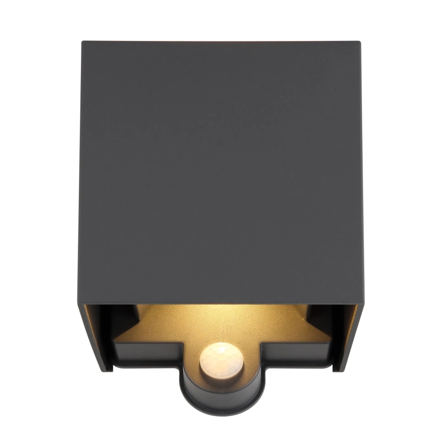 Globo - Lampada da parete esterna a LED con sensore 2xLED/3W/230V IP54