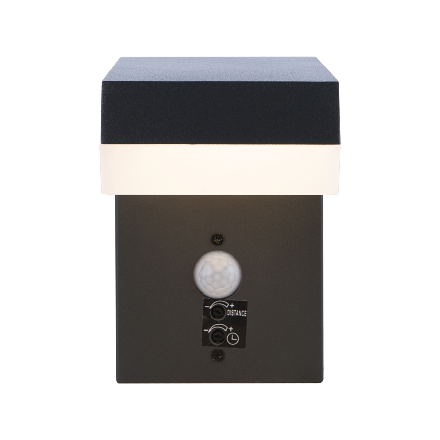Globo - Lampada LED da esterno con sensore OSKARI LED/9,5W/230V IP44