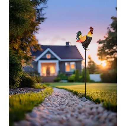 Globo - LED Solare decorazione LED/0,02W/3V IP44 gallo