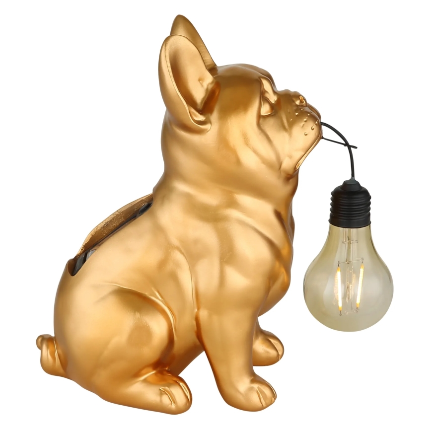 Globo - Lampada solare a LED 3V IP44 300 mAh, cane dorato