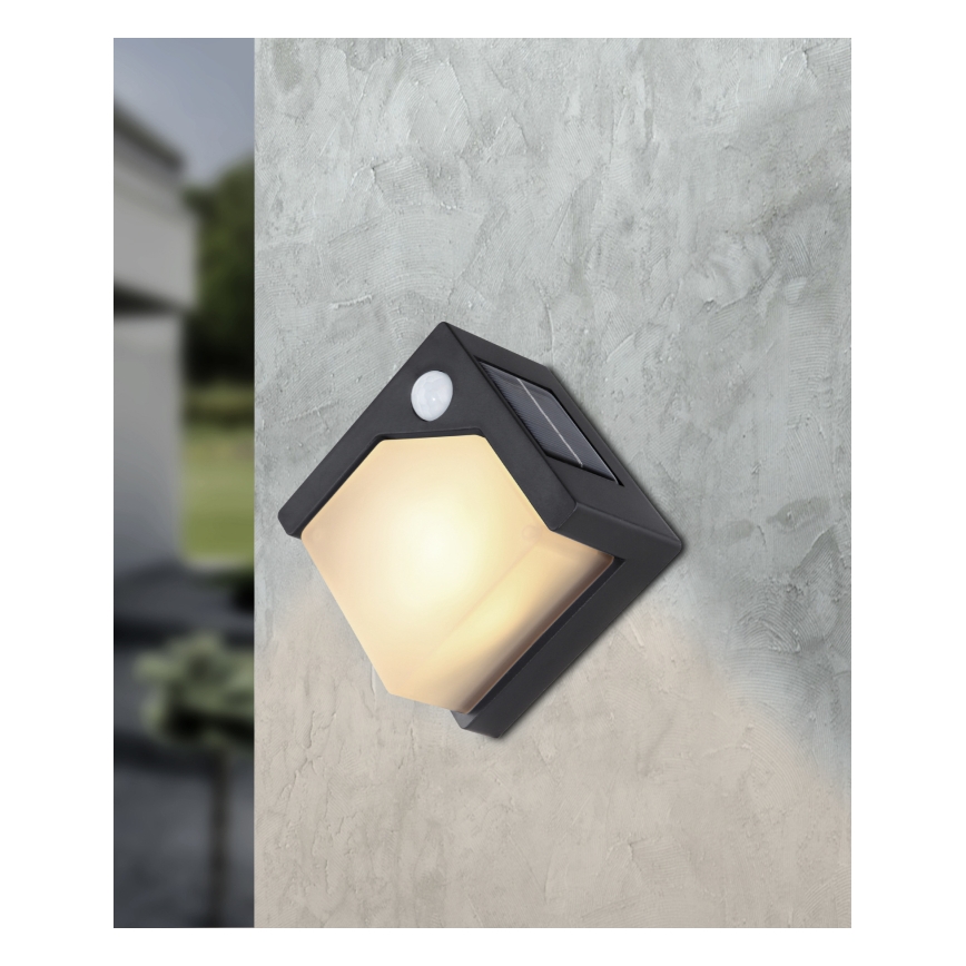 Globo - Luce solare a LED con sensore LED/0,48W/3V IP44 600 mAh