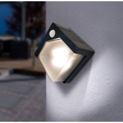Globo - Luce solare a LED con sensore LED/0,48W/3V IP44 600 mAh