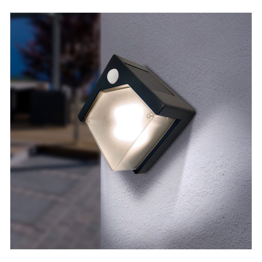 Globo - Luce solare a LED con sensore LED/0,48W/3V IP44 600 mAh