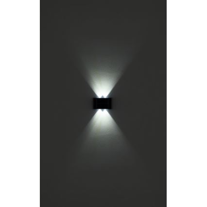 Globo - SET 3x Lampada LED solare LED/0,8W/3V 6500K IP44 600 mAh