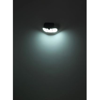 Globo - Lampada solare LED con sensore LED/3,7V IP44 2000 mAh