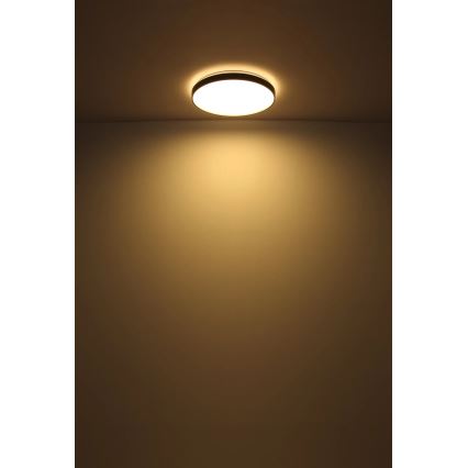 Globo - Plafoniera LED LED/24W/230V diametro 48 cm antracite