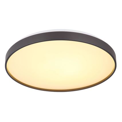 Globo - Plafoniera LED LED/24W/230V diametro 48 cm antracite