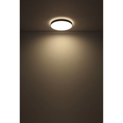 Globo - Plafoniera LED LED/24W/230V