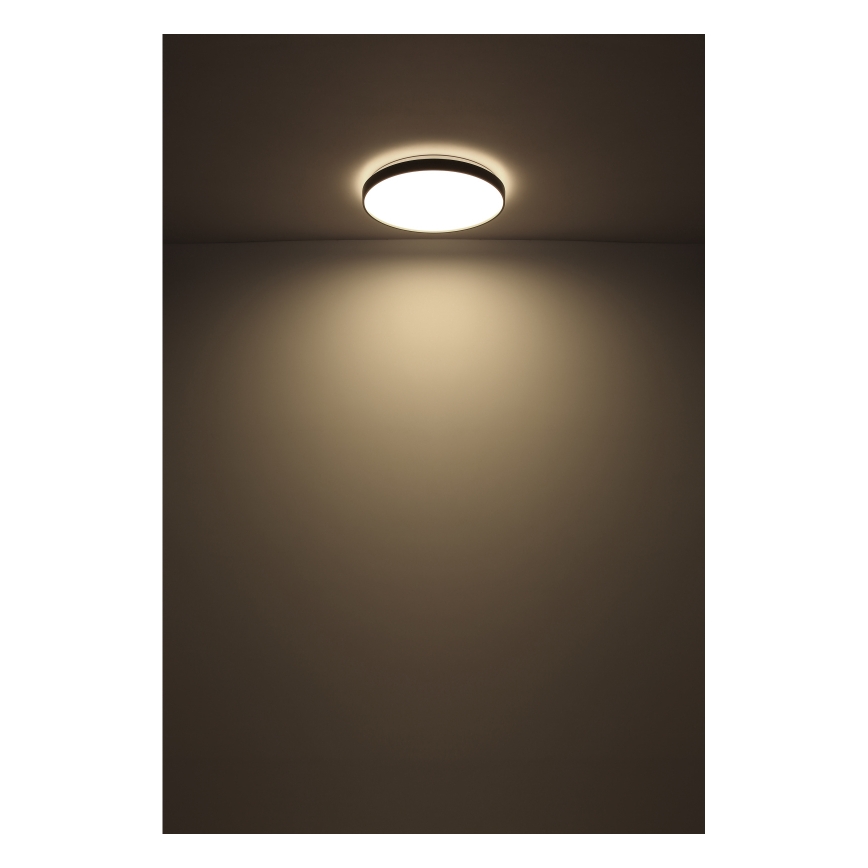 Globo - Plafoniera LED LED/24W/230V