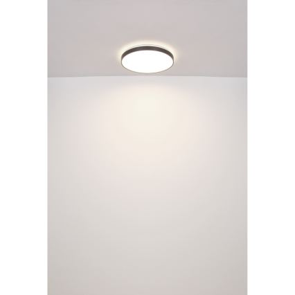 Globo - Plafoniera LED LED/24W/230V