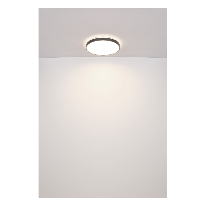 Globo - Plafoniera LED LED/24W/230V