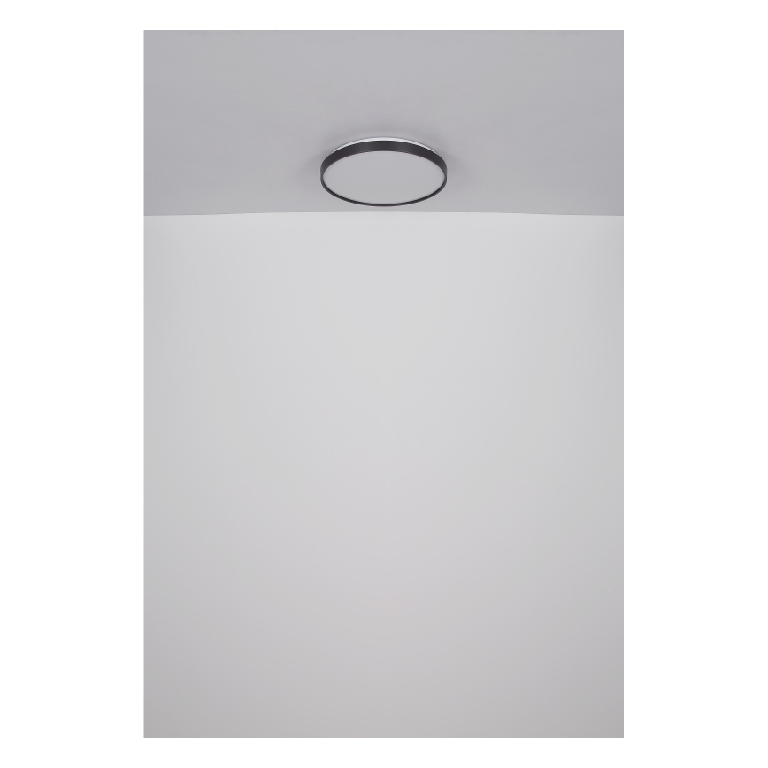 Globo - Plafoniera LED LED/24W/230V