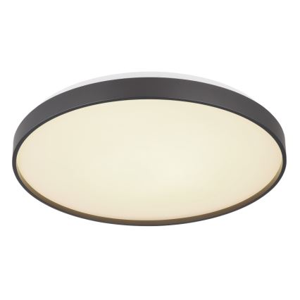 Globo - Plafoniera LED LED/24W/230V