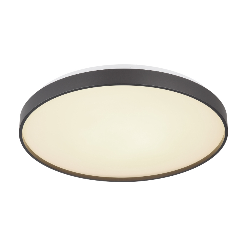 Globo - Plafoniera LED LED/24W/230V