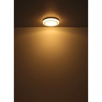 Globo - Plafoniera LED LED/24W/230V diametro 40 cm 3000K bianco