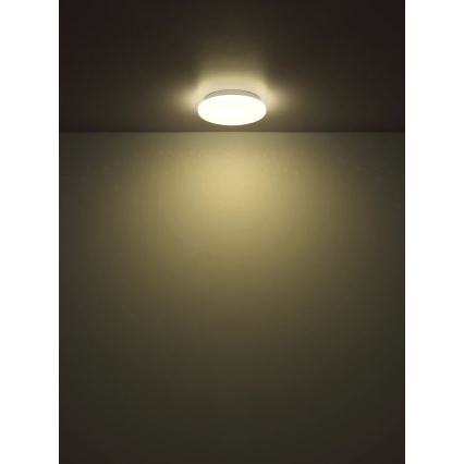Globo - Plafoniera LED 8W/230V 4000K Ø 55 cm