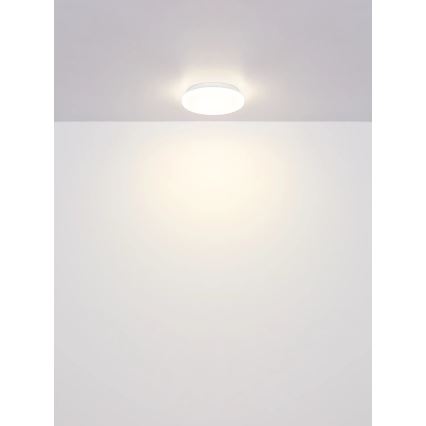 Globo - Plafoniera LED 8W/230V 4000K Ø 55 cm