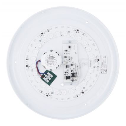 Globo - Plafoniera LED RGB dimmerabile LED/24W/230V + telecomando