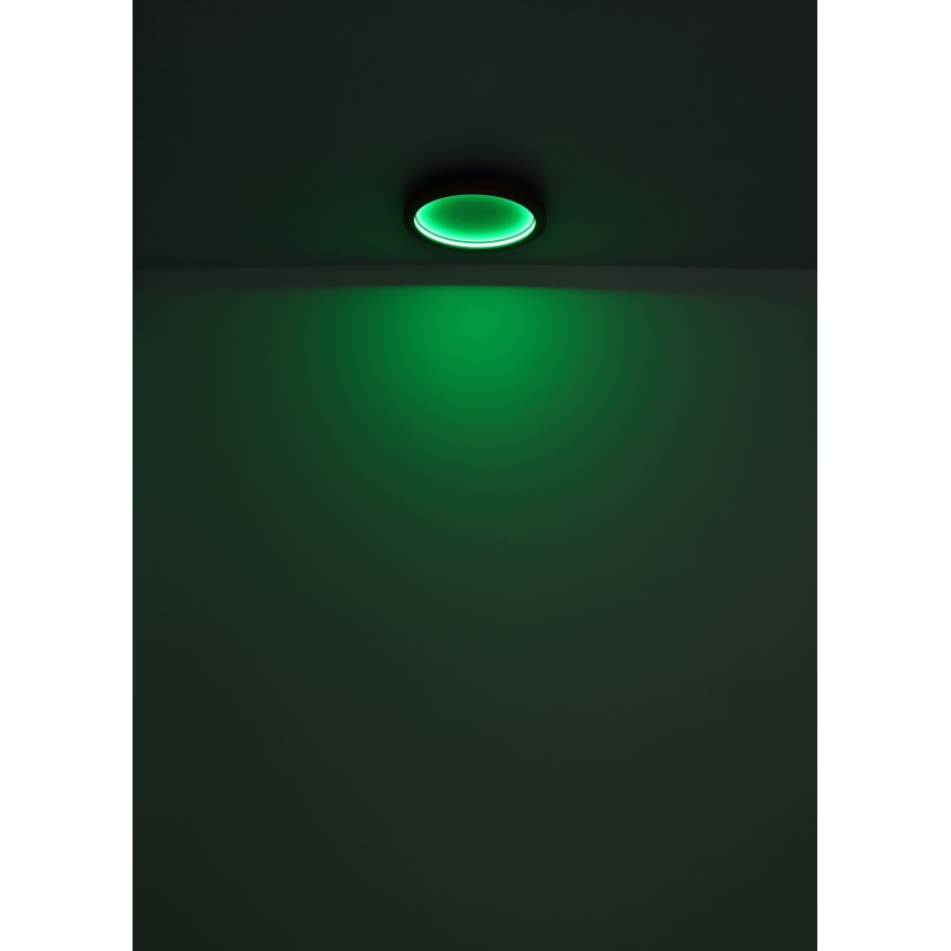 Globo - Plafoniera LED RGBW dimmerabile LED/24W/230V 2700-6000K + telecomando