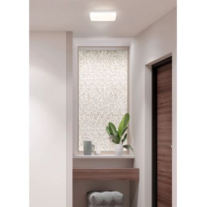 Globo - plafoniera LED/12W/230V 3000/4200/6500K 28,5x13,5 cm
