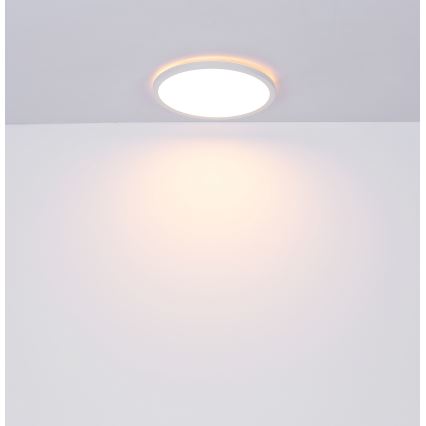 Globo - Plafoniera LED dimmerabile da bagno LED/18W/230V diametro 29,4 cm IP44 bianco