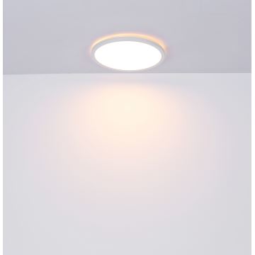 Globo - Plafoniera LED dimmerabile da bagno LED/24W/230V diametro 42 cm IP44 bianco
