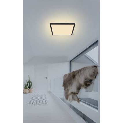 Globo - Plafoniera LED dimmerabile da bagno LED/18W/230V 29,4x29,4 cm IP44 nero