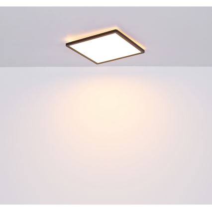 Globo - Plafoniera LED dimmerabile da bagno LED/18W/230V 29,4x29,4 cm IP44 nero