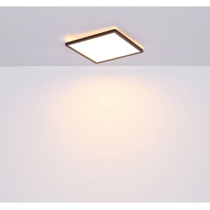 Globo - Plafoniera LED dimmerabile da bagno LED/18W/230V 29,4x29,4 cm IP44 nero