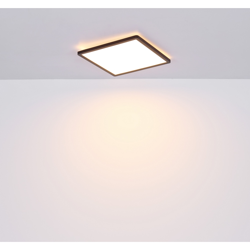 Globo - Plafoniera LED dimmerabile da bagno LED/18W/230V 29,4x29,4 cm IP44 nero