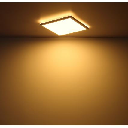 Globo - Plafoniera LED dimmerabile da bagno LED/18W/230V 29,4x29,4 cm IP44 bianco