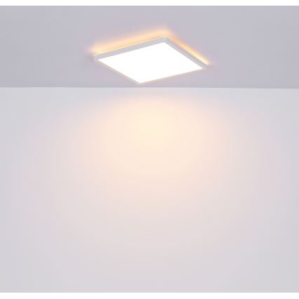 Globo - Plafoniera LED dimmerabile da bagno LED/18W/230V 29,4x29,4 cm IP44 bianco