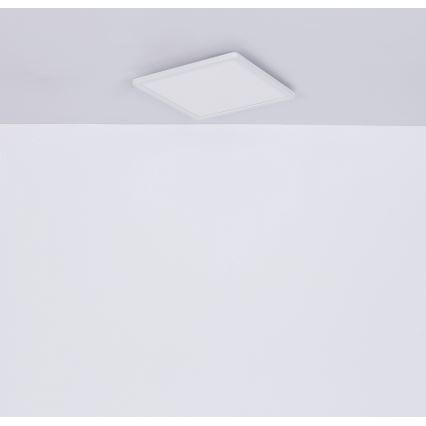 Globo - Plafoniera LED dimmerabile da bagno LED/18W/230V 29,4x29,4 cm IP44 bianco