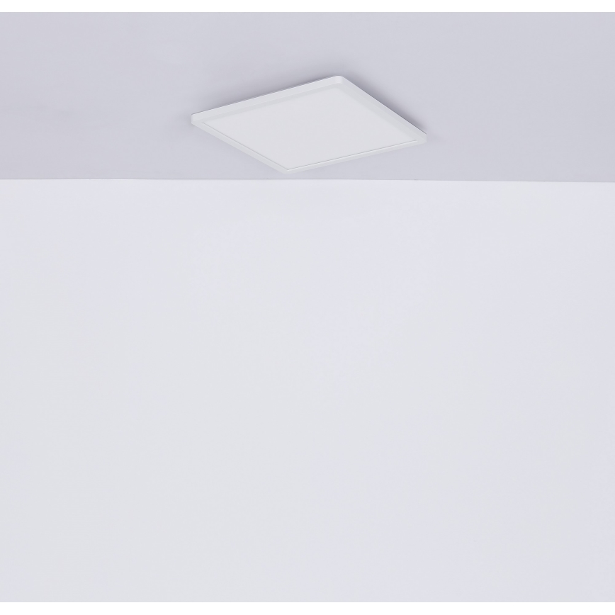 Globo - Plafoniera LED dimmerabile da bagno LED/18W/230V 29,4x29,4 cm IP44 bianco