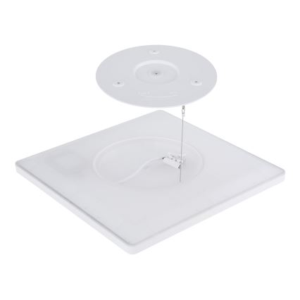 Globo - Plafoniera LED dimmerabile da bagno LED/18W/230V 29,4x29,4 cm IP44 bianco