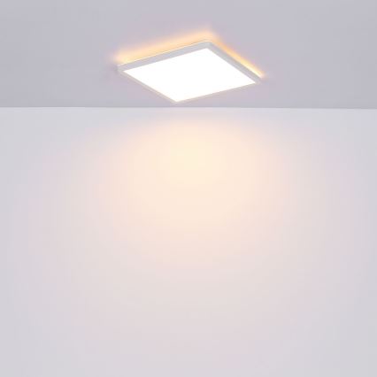 Globo - Plafoniera LED dimmerabile da bagno LED/24W/230V 42x42 cm IP44 bianco