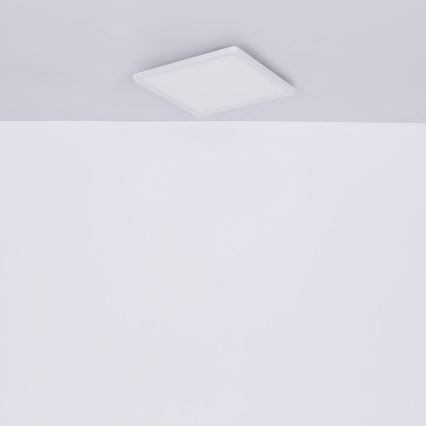 Globo - Plafoniera LED dimmerabile da bagno LED/24W/230V 42x42 cm IP44 bianco