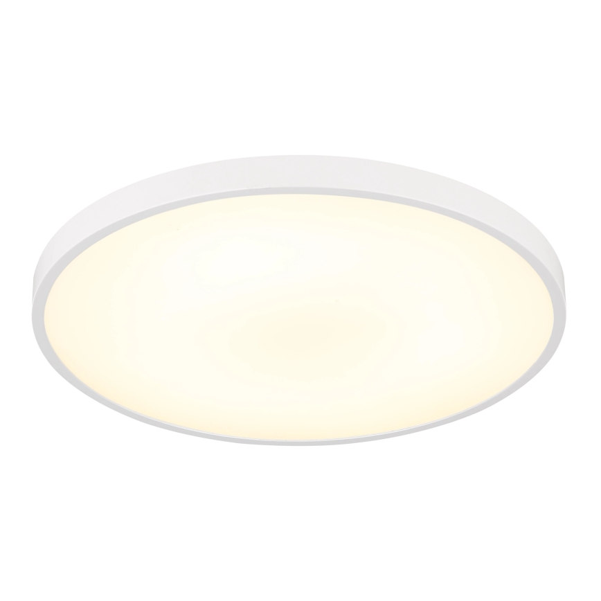 Globo - Lampada da soffitto LED/15W/230V 4000K Ø 23 cm bianca