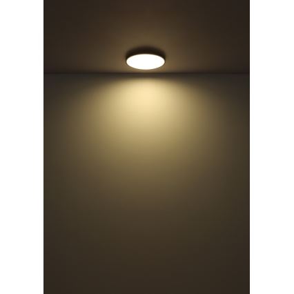 Globo - Plafoniera LED LED/32W/230V 4000K diametro 40 cm nero