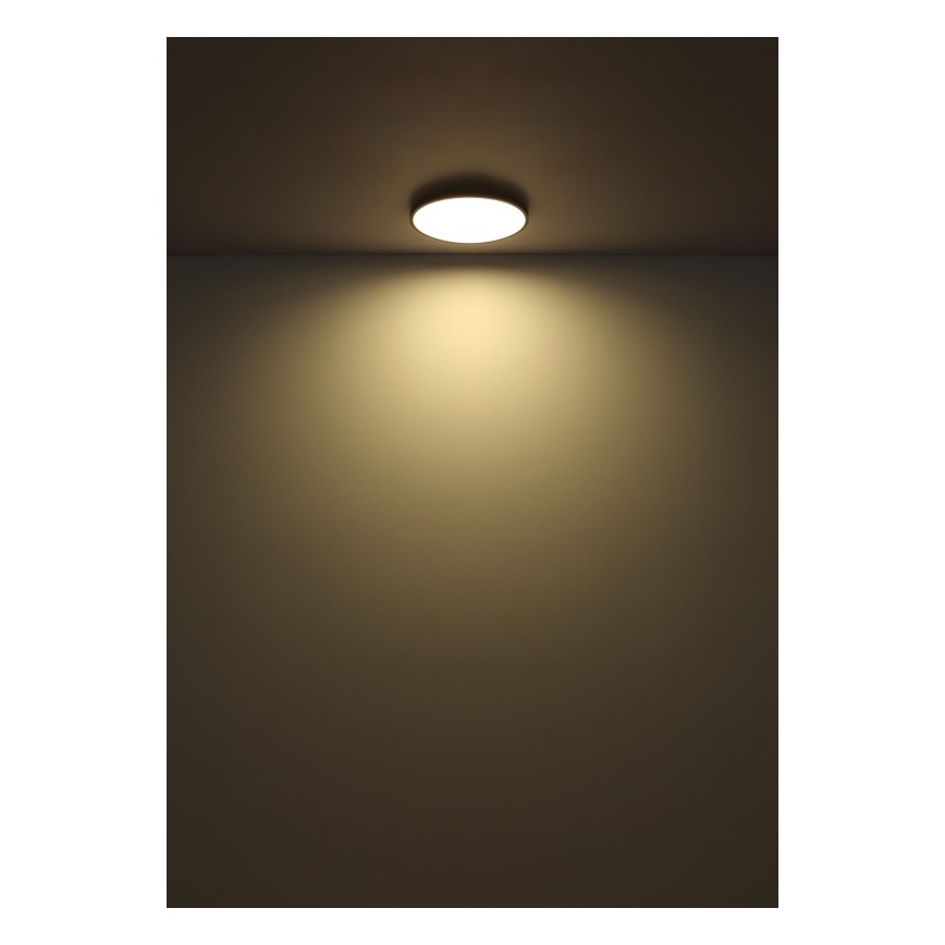 Globo - Plafoniera LED LED/32W/230V 4000K diametro 40 cm nero