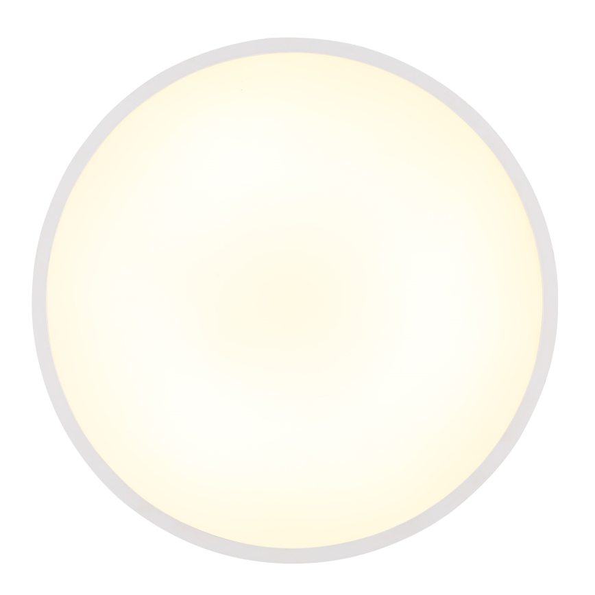 Globo - Plafoniera LED LED/32W/230V 4000K diametro 40 cm bianco