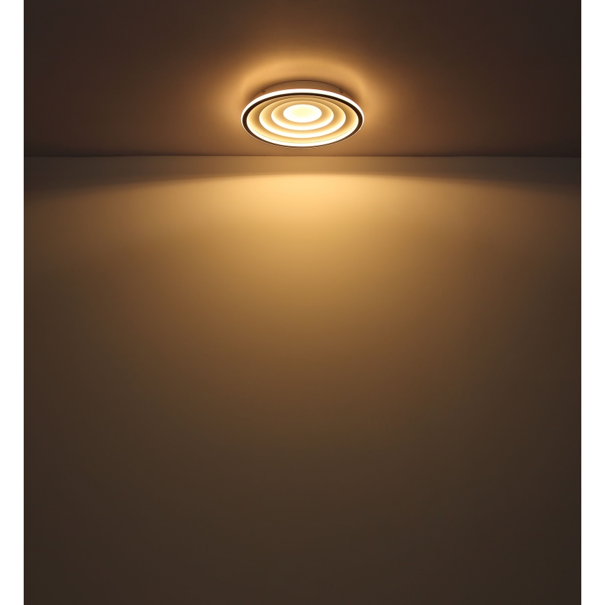 Globo - Plafoniera LED LED/24W/230V